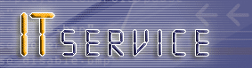 ITservice
